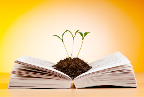 que es el examen eir